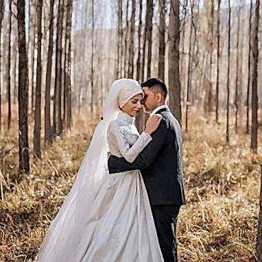 Coruh Vilayet Ormani 42