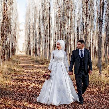 Coruh Vilayet Ormani 43