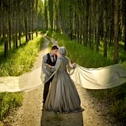 Coruh Vilayet Ormani 52