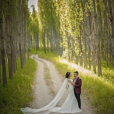 Coruh Vilayet Ormani 57