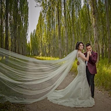 Coruh Vilayet Ormani 59