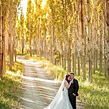 Coruh Vilayet Ormani 62