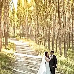 Coruh Vilayet Ormani 63