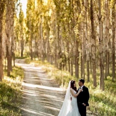 Coruh Vilayet Ormani 63