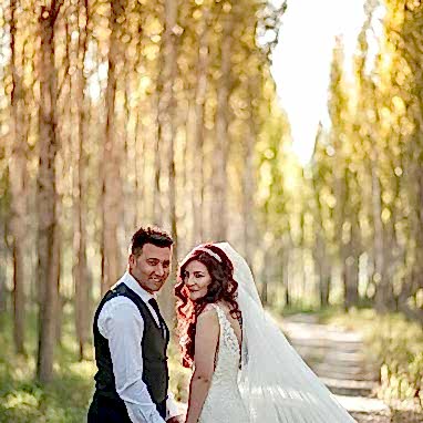 Coruh Vilayet Ormani 65