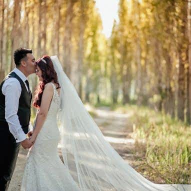 Coruh Vilayet Ormani 66