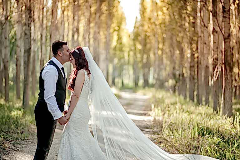 Coruh Vilayet Ormani 66